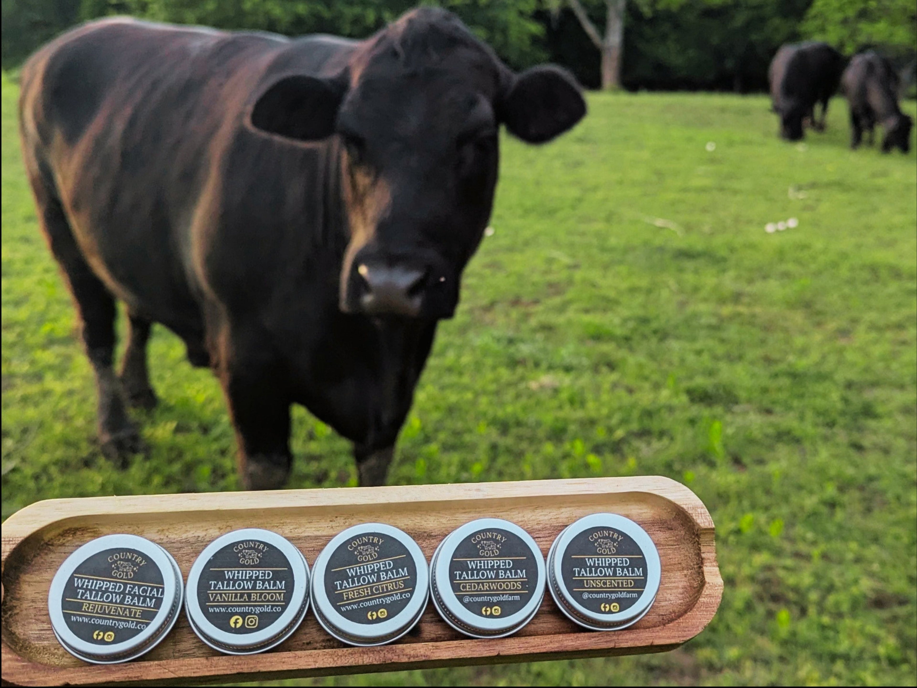 Tallow Balm Sample Pack